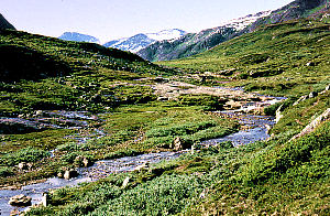 Blick ins Fagerdalen