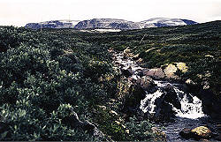 Geilofjellet