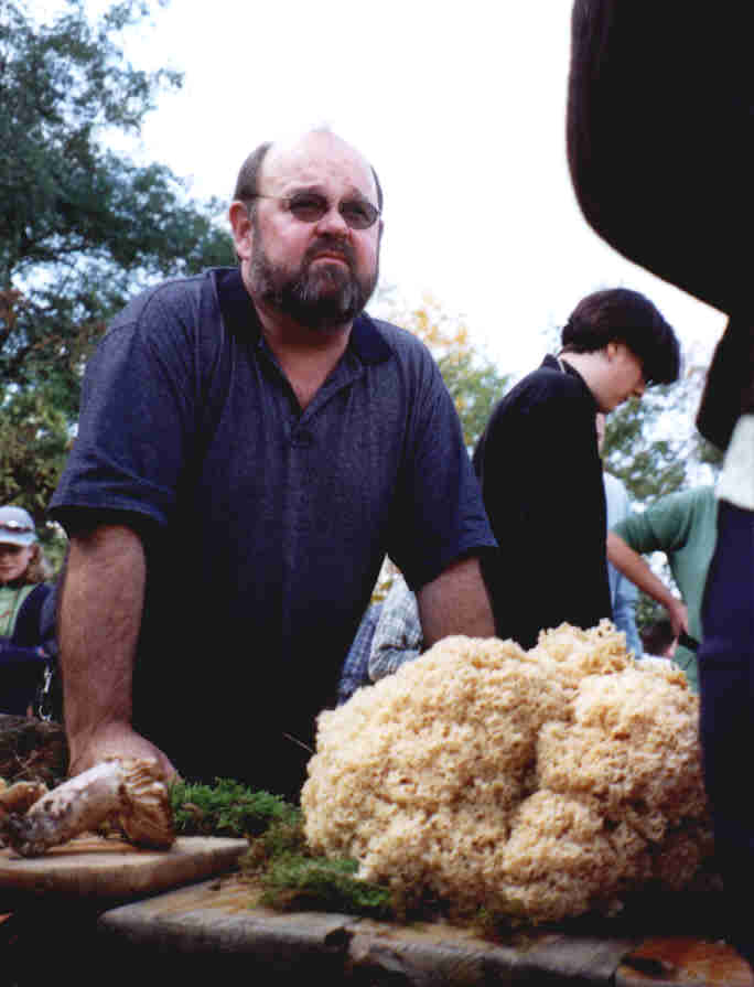 Krause Glucke